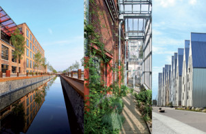 habitat social
