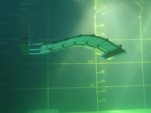 eel-energy-2