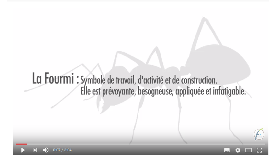 voir la vidéo 