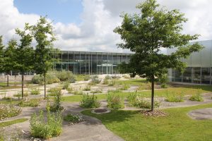 Louvre-Lens