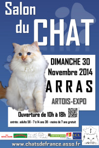salon du CHAT arras