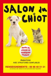 Affiche (2)