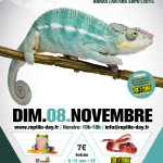 Salon reptile day du 8 novembre 2015 Reptil nov 2015