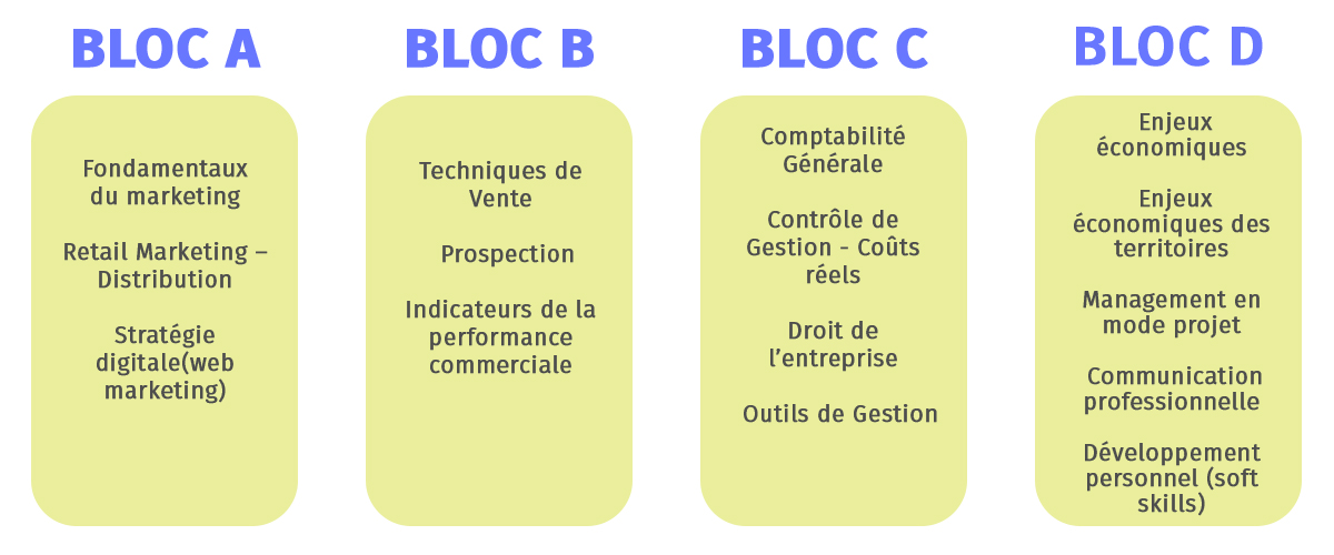 1ère année egc lille
