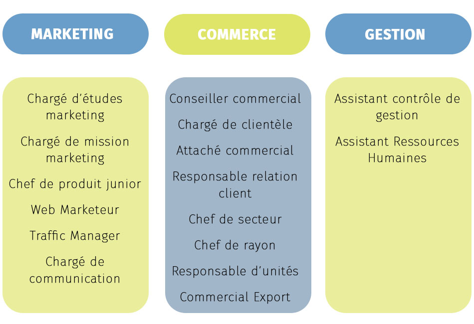 d&eacute;bouch&eacute;s &eacute;cole de commerce lille