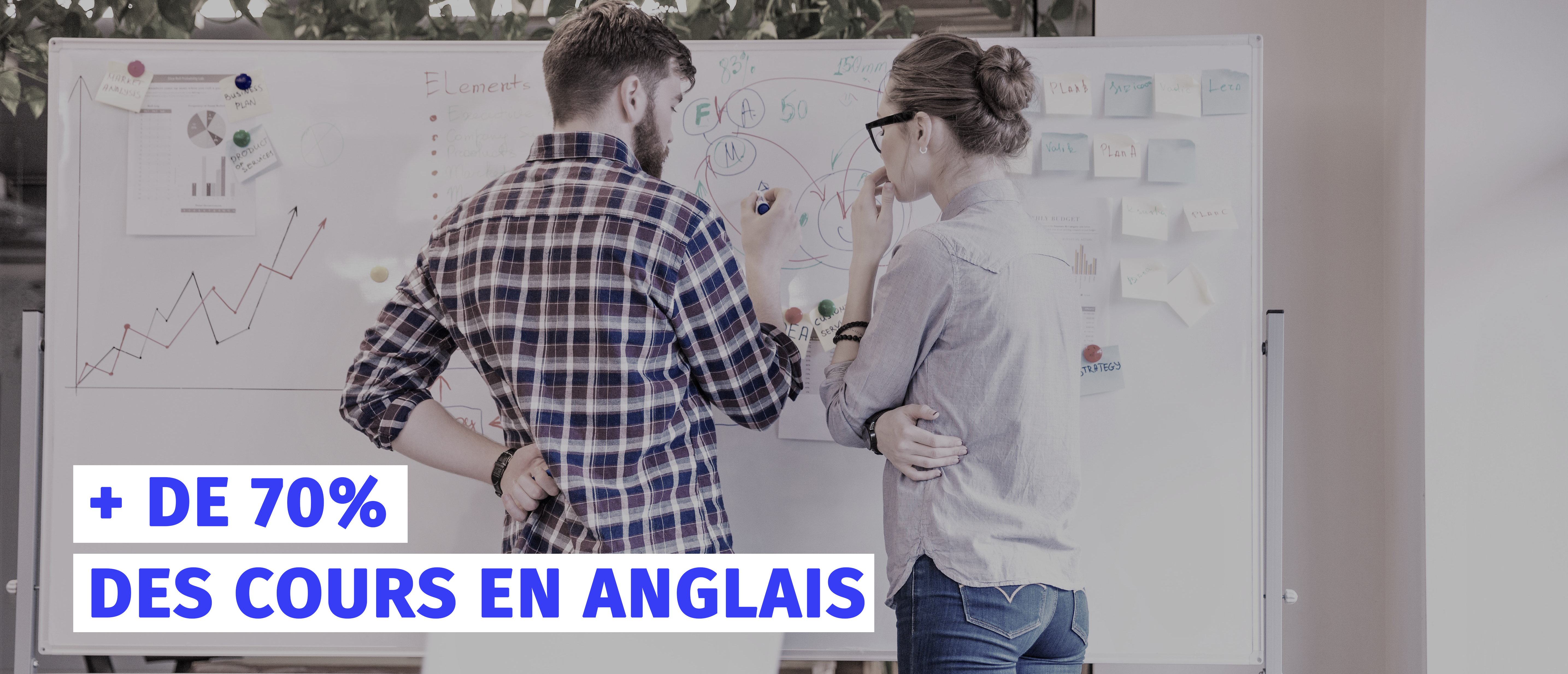 +70% des cours en anglais