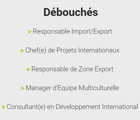 débouchés MDAI